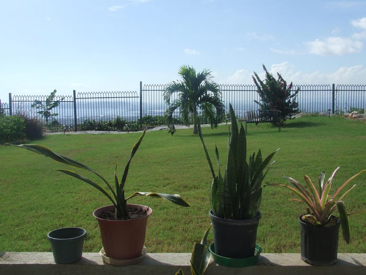Bella Vista Villa Kingston Luaran gambar